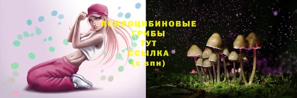 крисы Алексеевка