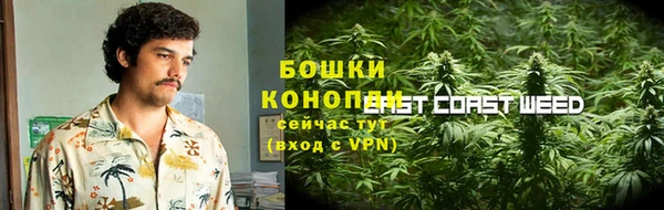 гидра Осинники