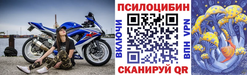 МЕГА сайт как найти Комсомольск Галлюциногенные грибы Psilocybine cubensis